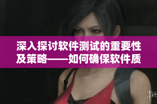 深入探討軟件測試的重要性及策略——如何確保軟件質(zhì)量提高