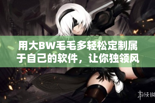 用大BW毛毛多輕松定制屬于自己的軟件，讓你獨領(lǐng)風騷！