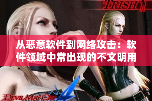 從惡意軟件到網(wǎng)絡(luò)攻擊：軟件領(lǐng)域中常出現(xiàn)的不文明用語(yǔ)