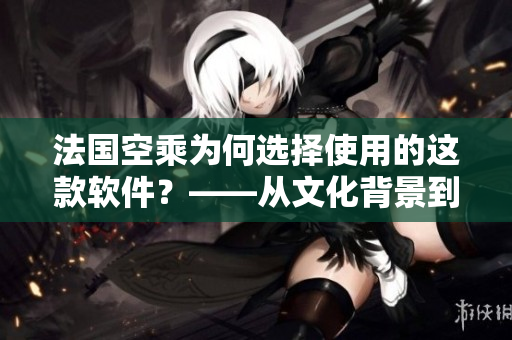 法國空乘為何選擇使用的這款軟件？——從文化背景到技術優(yōu)勢的全面解析