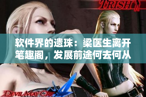 軟件界的遺珠：梁醫(yī)生離開筆趣閣，發(fā)展前途何去何從？