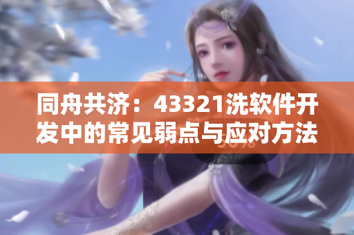 同舟共濟(jì)：43321洗軟件開(kāi)發(fā)中的常見(jiàn)弱點(diǎn)與應(yīng)對(duì)方法