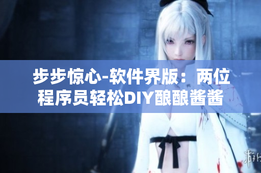 步步驚心-軟件界版：兩位程序員輕松DIY釀釀醬醬