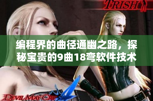編程界的曲徑通幽之路，探秘寶貴的9曲18彎軟件技術(shù)