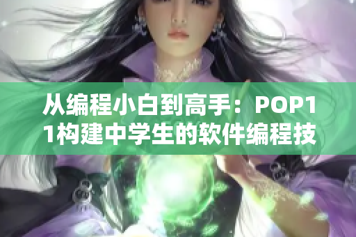 從編程小白到高手：POP11構(gòu)建中學生的軟件編程技能