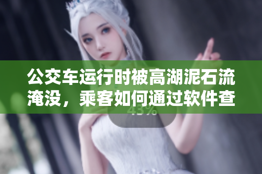 公交車運(yùn)行時(shí)被高湖泥石流淹沒(méi)，乘客如何通過(guò)軟件查看實(shí)時(shí)路線？
