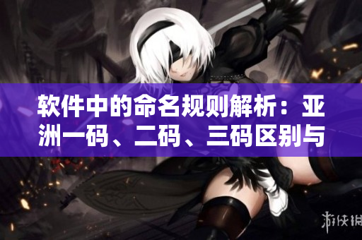 軟件中的命名規(guī)則解析：亞洲一碼、二碼、三碼區(qū)別與作用