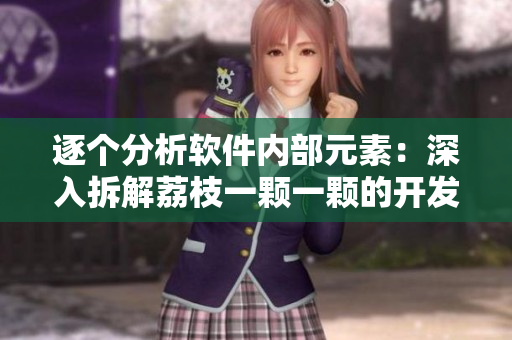 逐個分析軟件內(nèi)部元素：深入拆解荔枝一顆一顆的開發(fā)全過程
