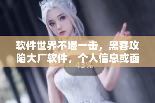 軟件世界不堪一擊，黑客攻陷大廠軟件，個(gè)人信息或面臨泄露風(fēng)險(xiǎn)