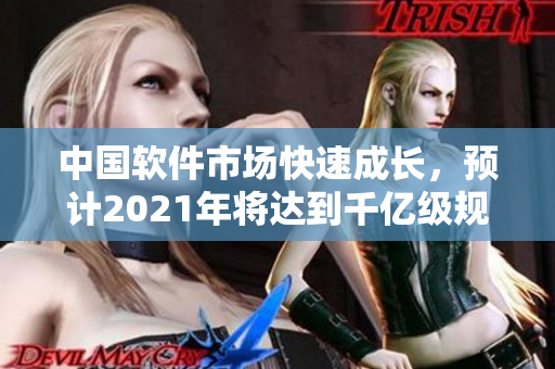 中國(guó)軟件市場(chǎng)快速成長(zhǎng)，預(yù)計(jì)2021年將達(dá)到千億級(jí)規(guī)模