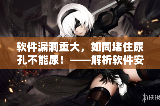 軟件漏洞重大，如同堵住尿孔不能尿！——解析軟件安全問(wèn)題