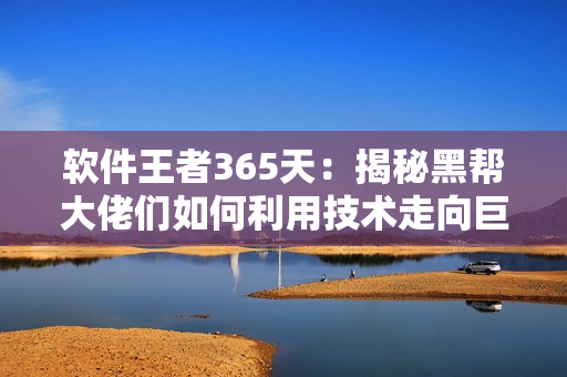 軟件王者365天：揭秘黑幫大佬們?nèi)绾卫眉夹g(shù)走向巨富