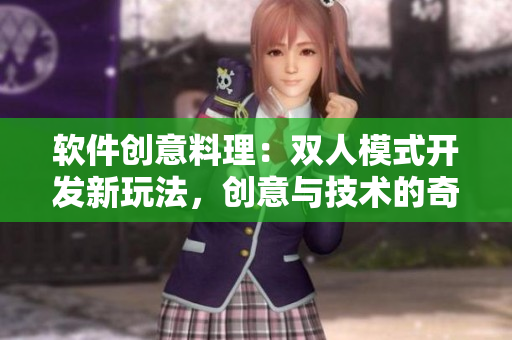 軟件創(chuàng)意料理：雙人模式開發(fā)新玩法，創(chuàng)意與技術的奇妙碰撞