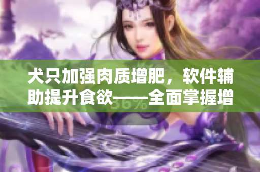犬只加強(qiáng)肉質(zhì)增肥，軟件輔助提升食欲——全面掌握增加用戶吸引力的技巧