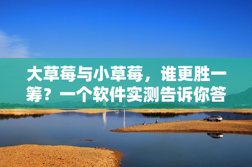 大草莓與小草莓，誰(shuí)更勝一籌？一個(gè)軟件實(shí)測(cè)告訴你答案！