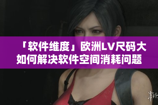 「軟件維度」歐洲LV尺碼大如何解決軟件空間消耗問題！