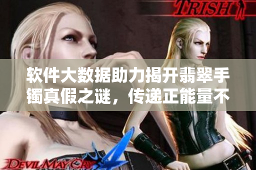 軟件大數(shù)據(jù)助力揭開(kāi)翡翠手鐲真假之謎，傳遞正能量不斷涌現(xiàn)