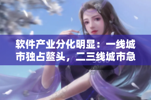 軟件產(chǎn)業(yè)分化明顯：一線城市獨(dú)占鰲頭，二三線城市急需拓展市場！