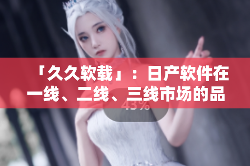 「久久軟載」：日產(chǎn)軟件在一線、二線、三線市場(chǎng)的品牌定位