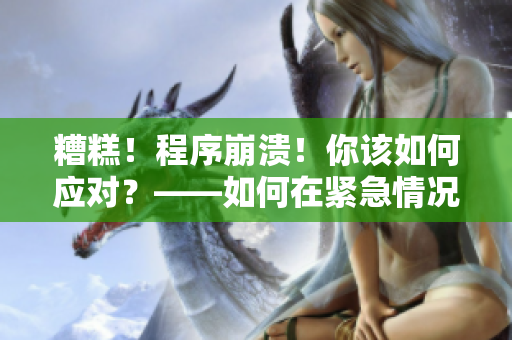 糟糕！程序崩潰！你該如何應(yīng)對？——如何在緊急情況下處理軟件故障