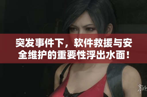 突發(fā)事件下，軟件救援與安全維護(hù)的重要性浮出水面！——一位編輯的思考