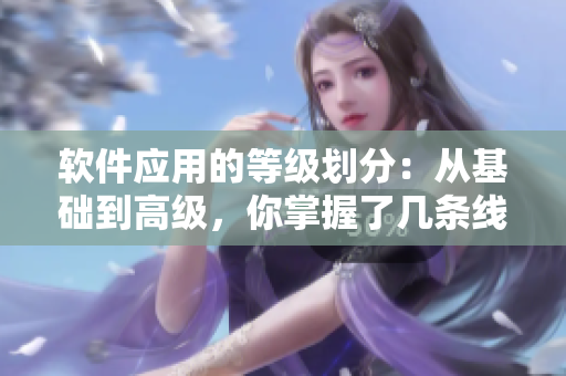 軟件應用的等級劃分：從基礎到高級，你掌握了幾條線？