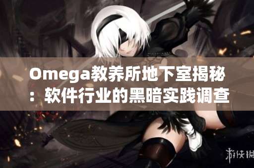 Omega教養(yǎng)所地下室揭秘：軟件行業(yè)的黑暗實(shí)踐調(diào)查報(bào)告
