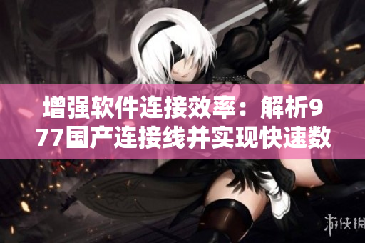 增強軟件連接效率：解析977國產(chǎn)連接線并實現(xiàn)快速數(shù)據(jù)傳輸