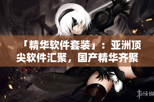 「精華軟件套裝」：亞洲頂尖軟件匯聚，國產(chǎn)精華齊聚一堂