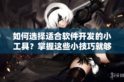 如何選擇適合軟件開發(fā)的小工具？掌握這些小技巧就夠了！