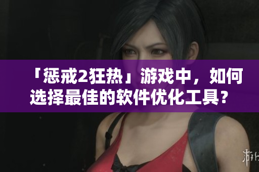 「懲戒2狂熱」游戲中，如何選擇最佳的軟件優(yōu)化工具？——工作指導第2集