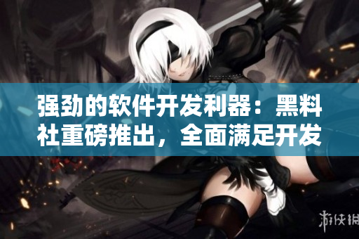 強勁的軟件開發(fā)利器：黑料社重磅推出，全面滿足開發(fā)者需求