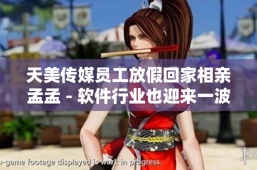 天美傳媒員工放假回家相親孟孟 - 軟件行業(yè)也迎來(lái)一波春節(jié)購(gòu)物潮