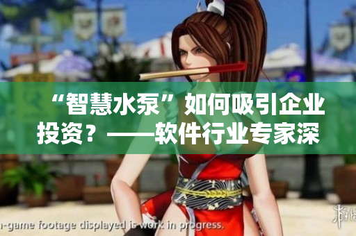 “智慧水泵”如何吸引企業(yè)投資？——軟件行業(yè)專家深度剖析