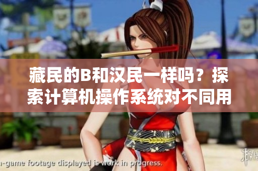 藏民的B和漢民一樣嗎？探索計(jì)算機(jī)操作系統(tǒng)對(duì)不同用戶族群的適應(yīng)性能力