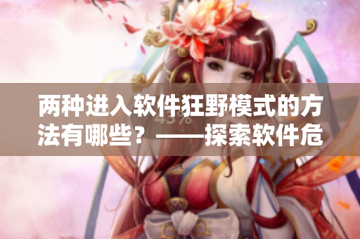 兩種進(jìn)入軟件狂野模式的方法有哪些？——探索軟件危險(xiǎn)功能