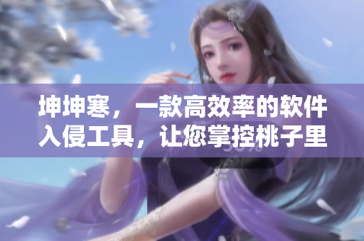 坤坤寒，一款高效率的軟件入侵工具，讓您掌控桃子里的一切！