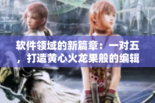 軟件領域的新篇章：一對五，打造黃心火龍果般的編輯軟件