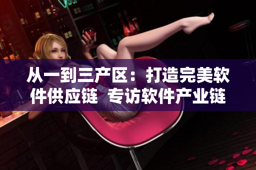 從一到三產(chǎn)區(qū)：打造完美軟件供應鏈  專訪軟件產(chǎn)業(yè)鏈專家