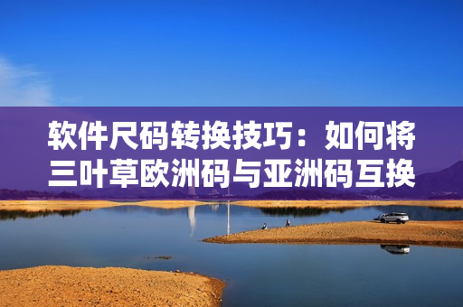 軟件尺碼轉(zhuǎn)換技巧：如何將三葉草歐洲碼與亞洲碼互換？