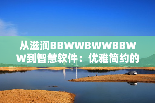 從滋潤(rùn)BBWWBWWBBWW到智慧軟件：優(yōu)雅簡(jiǎn)約的黑白界面