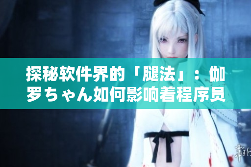 探秘軟件界的「腿法」：伽羅ちゃん如何影響著程序員？