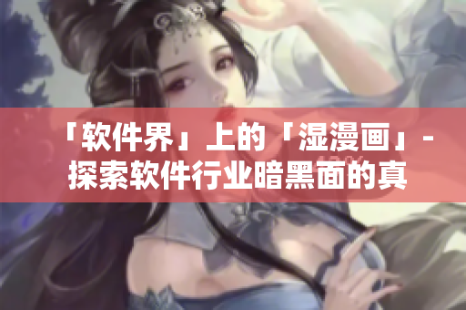 「軟件界」上的「濕漫畫」- 探索軟件行業(yè)暗黑面的真相！