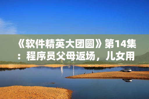 《軟件精英大團(tuán)圓》第14集：程序員父母返場(chǎng)，兒女用代碼做美食！