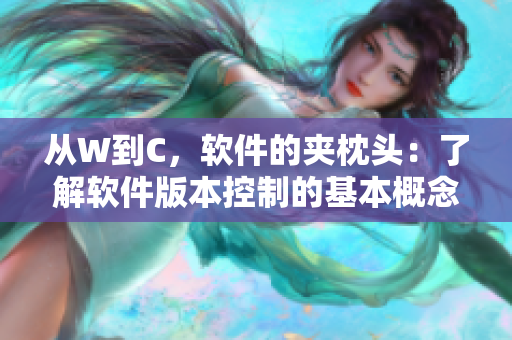 從W到C，軟件的夾枕頭：了解軟件版本控制的基本概念及意義