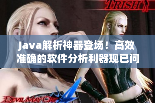 Java解析神器登場！高效準(zhǔn)確的軟件分析利器現(xiàn)已問世