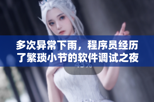 多次異常下雨，程序員經(jīng)歷了繁瑣小節(jié)的軟件調(diào)試之夜
