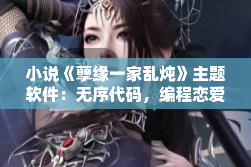 小說《孽緣一家亂燉》主題軟件：無序代碼，編程戀愛運作