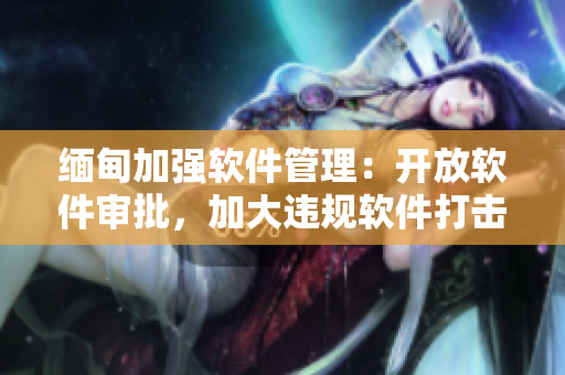 緬甸加強(qiáng)軟件管理：開(kāi)放軟件審批，加大違規(guī)軟件打擊力度