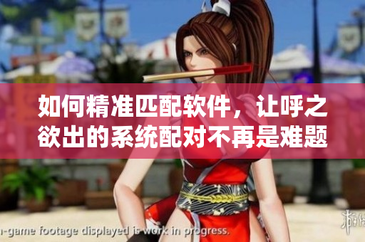 如何精準匹配軟件，讓呼之欲出的系統(tǒng)配對不再是難題